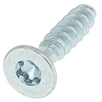 Verzonken kop Torx