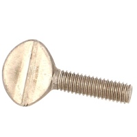 Vis Violon Inox A2