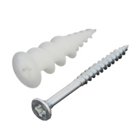 Plug zelfborend