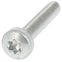 Draadvormend cilindrische bolkop Torx Blank verzinkt staal Din 7500C