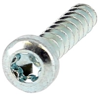 Cilindrische bolkop Torx