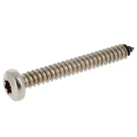 Plaatschroef cilindrische bolkop breed Torx RVS A2 Din 7981X