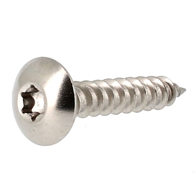 Vis de Penture Tête Ronde Large Torx Inox A2